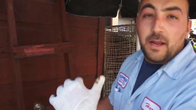 Express Plumbing & Rooter Review - Harry Explaining High Tech Water Jetting