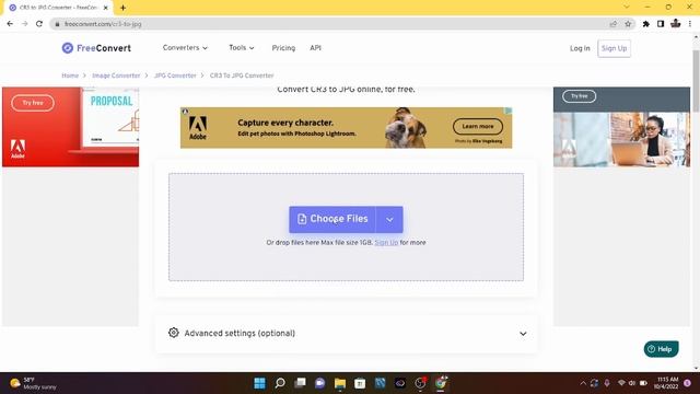 Convert CR3 to JPG for FREE | How to convert CR3 file format to JPG | CR3 to JPG