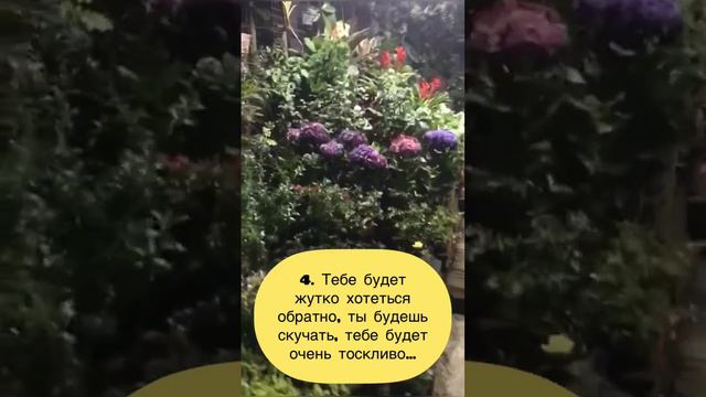 Обратная сторона переезда в другую страну. Или то, о чем обычно не говорят...