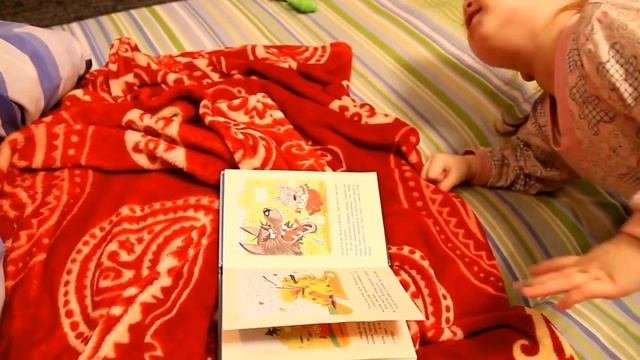 Про трёх поросят и волка хулигана 26.12.17