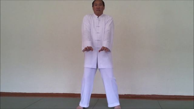 Hong Gia Vietnam white belt lesson1 Minsk 2016