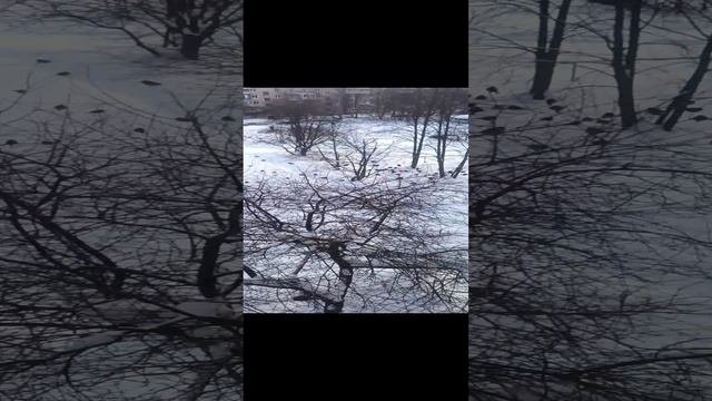 Кучно сидят