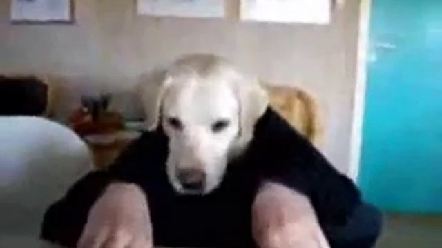 достаточно серьёзный человек
