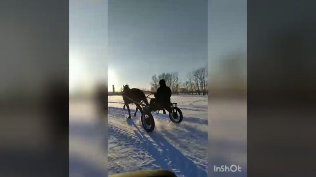 Костя вангарцо