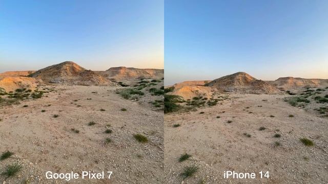 Google Pixel 7 vs iPhone 14 Camera Test