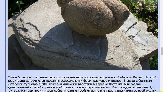 Трованты - живые камни Румынии