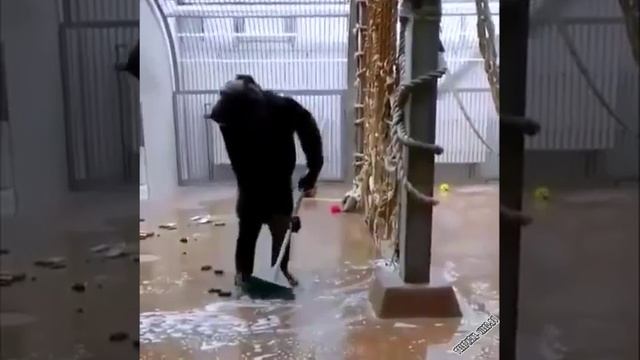 после вечеринки  ребятам на фронт я там уже был и знаю каково это 2202 2003 4591 2586 сбер