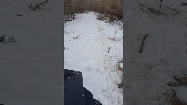 Вездеход Скай Рауд С-1000..,.,