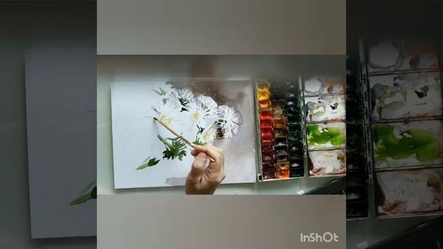 Рисуем белые астры акварелью.