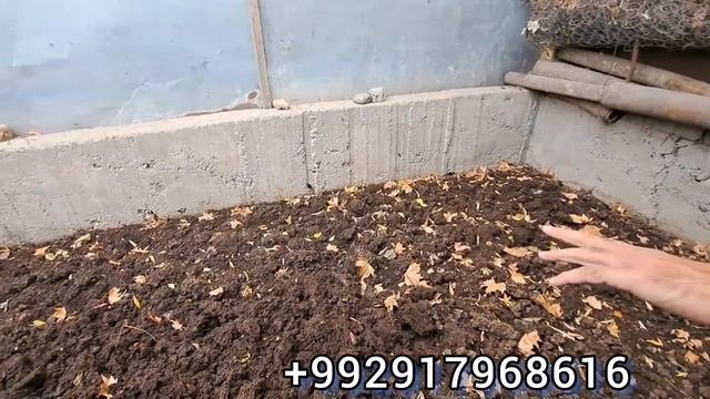 Биогомус Регар одамо сар кардан ин бизнеса