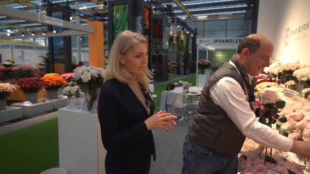 Garden Rose Variety Preview at IFTF 2022