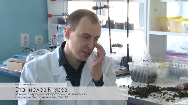 Разработки омичей с использованием беспозвоночных