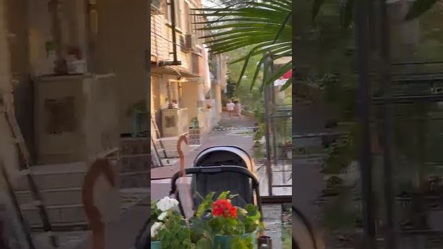 сидим ни кого не трогаем. А тут такое!!!!