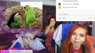 Посылка от бывшей...СТРИМ