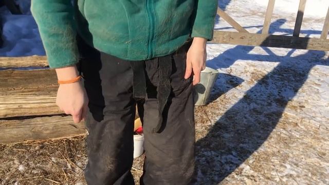 КАК МЫ СНИМАЕМ ШЕРСТЬ НОЖОВКОЙ ПО МЕТАЛУ С ЛОШАДИ