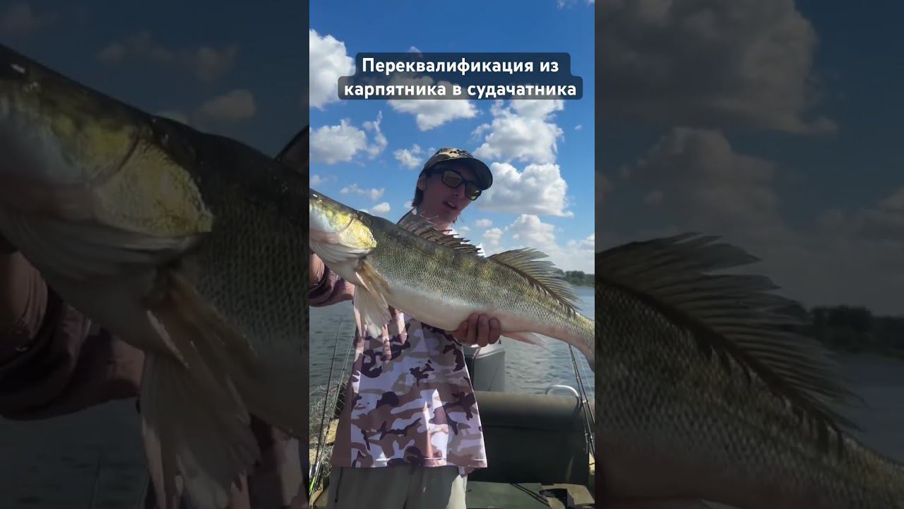 Клыкастый трофей на 3200! #рыбалка #carpfishing #zander #keitech #zanderfishing #fishing