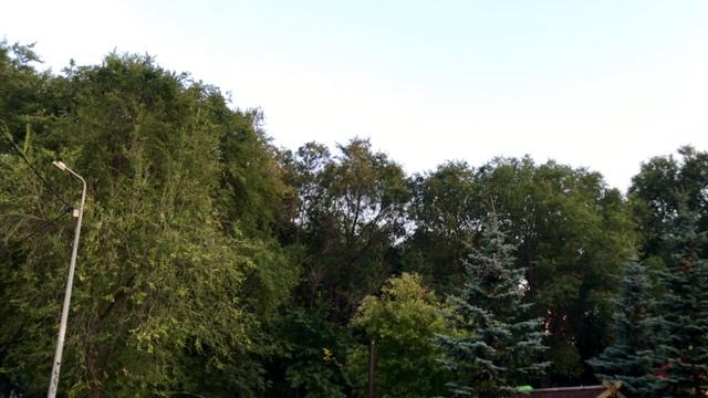 Прогулка в парке «Воронежские озёра"