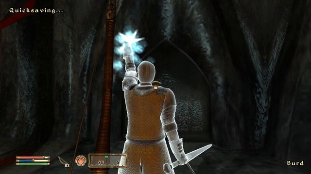 Прохождение главного квеста. Врата в Бруме | The Elder Scrolls IV: Oblivion | Part 10