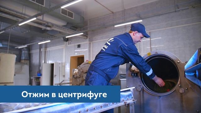 Глубокая чистка ковров (этапы)