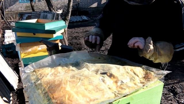 Первый осмотр пчёл после облёта 2022