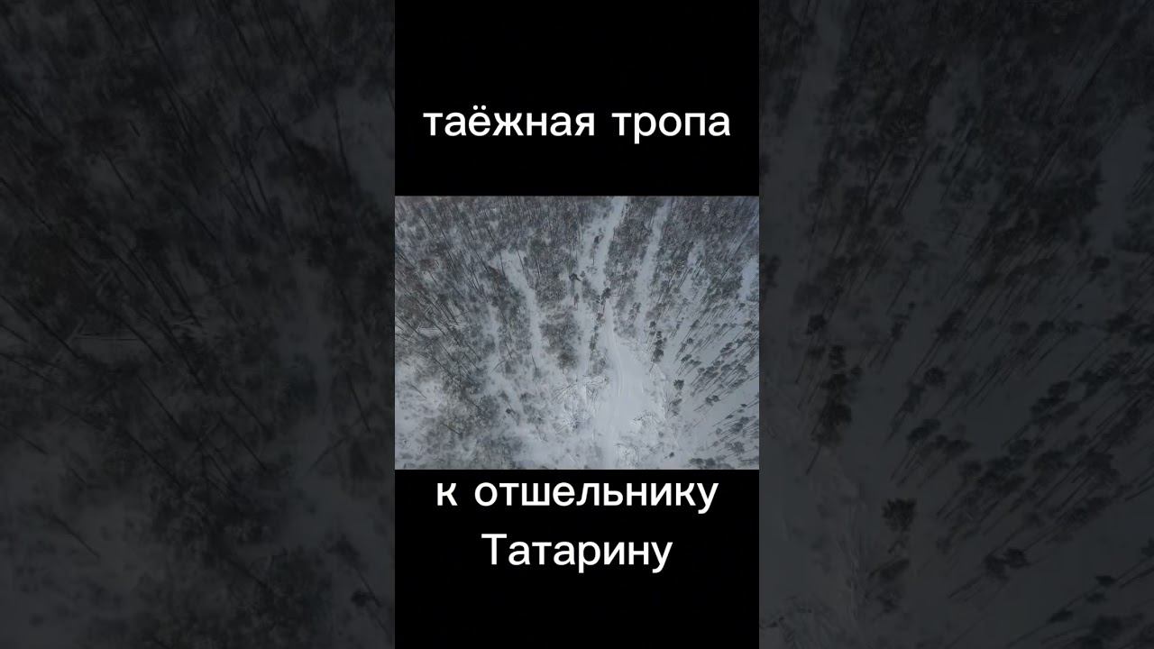 ТАЁЖНАЯ ТРОПА 7км К ОТШЕЛЬНИКУ#жизньвтайге #отшельник #shot #тайга #смотри