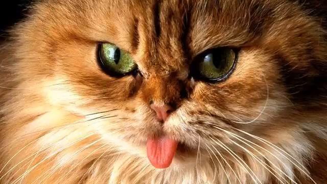 Новая электронная песня. Это - хит! Голос шокирует!