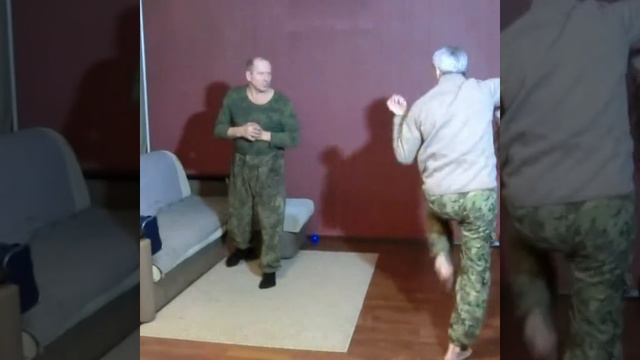 Боевые искусства