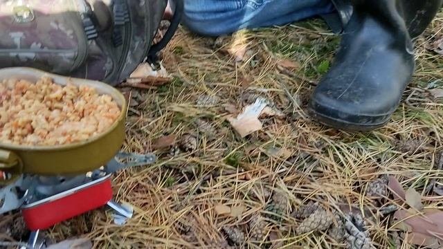 Лес, загадочные грибы, эхо войны и консервы