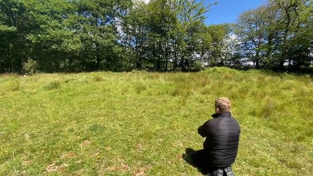 Initial Assessment Of Rocco (Working Cocker Spaniel)