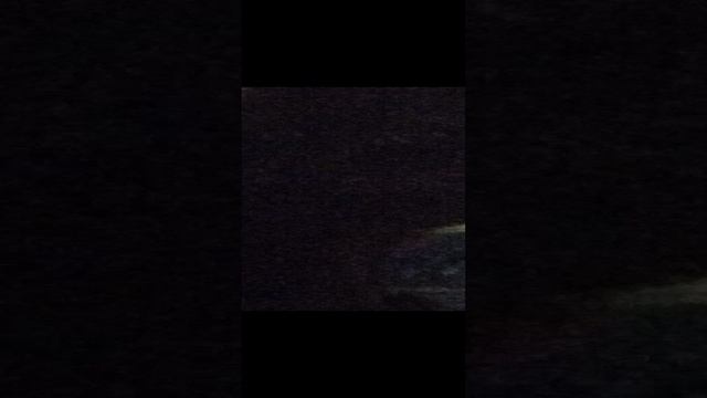 VID_20230821_212016.mp4