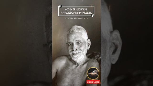 Сила Слов 24
