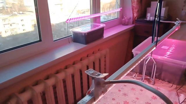 Стаканчики для рассады своими руками часть 2