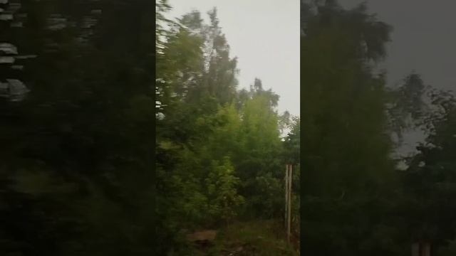 сильный ветер дождь