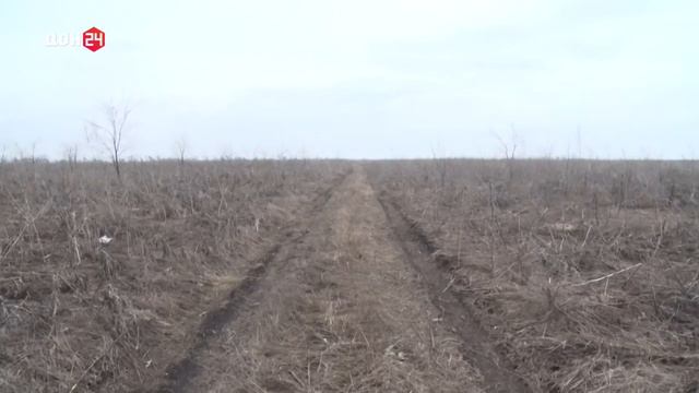 Брошенное поле в Ростовской области