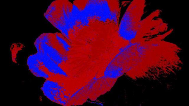 J.BRAHMS - SONATA for VIOLIN & PIANO No.3 in D minor, Op.108- Adagio