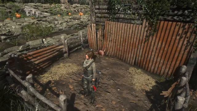 Rise of the Tomb Raider - глючная курица