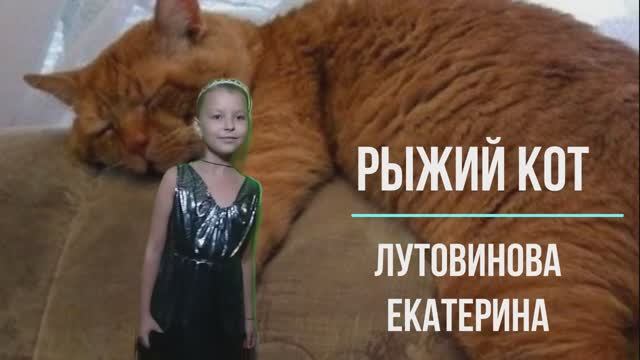 "Рыжий кот" Лутовинова Екатерина