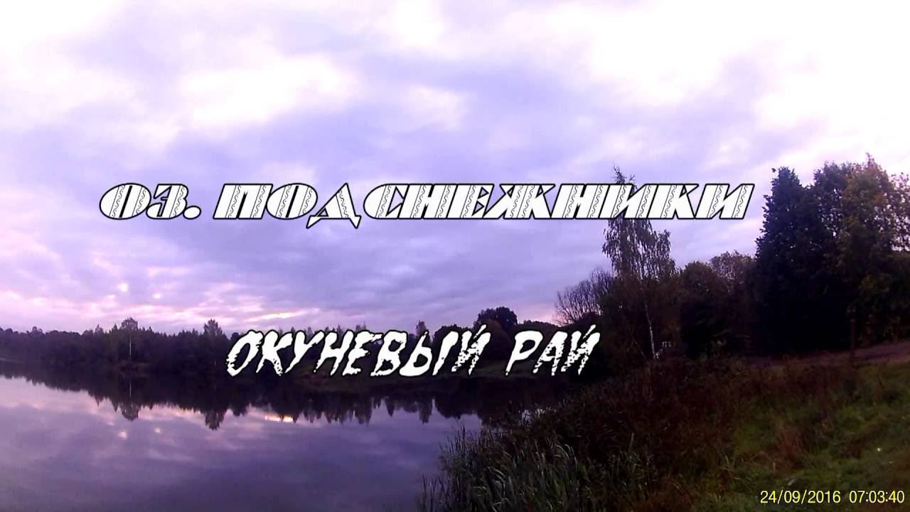 ОКУНЁВЫЙ РАЙ 24 9 2016 озеро Подснежники Смоленск