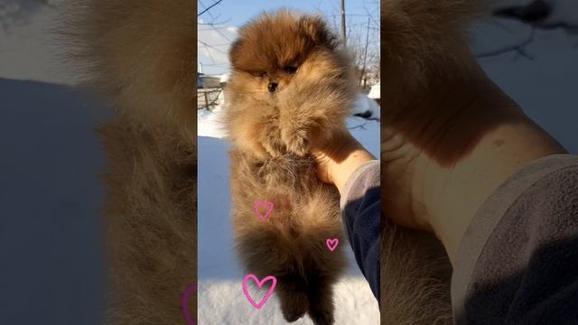 YouCut_20240210_211428645.mp4