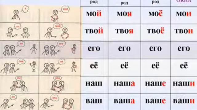 Притяжателные местоимения Муртазаева Ф Р