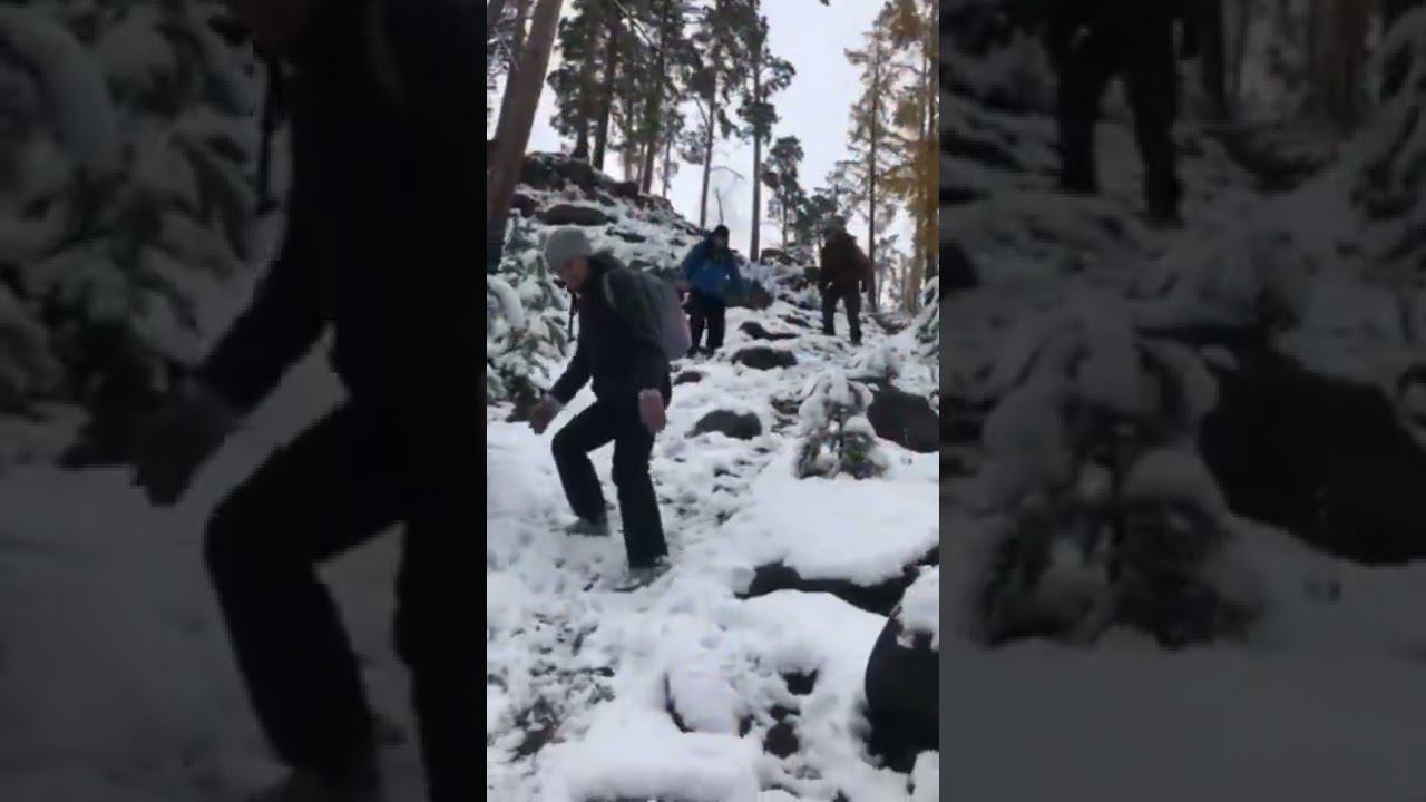 Вот такая осень в Сибири. Автор Ольга Ч.