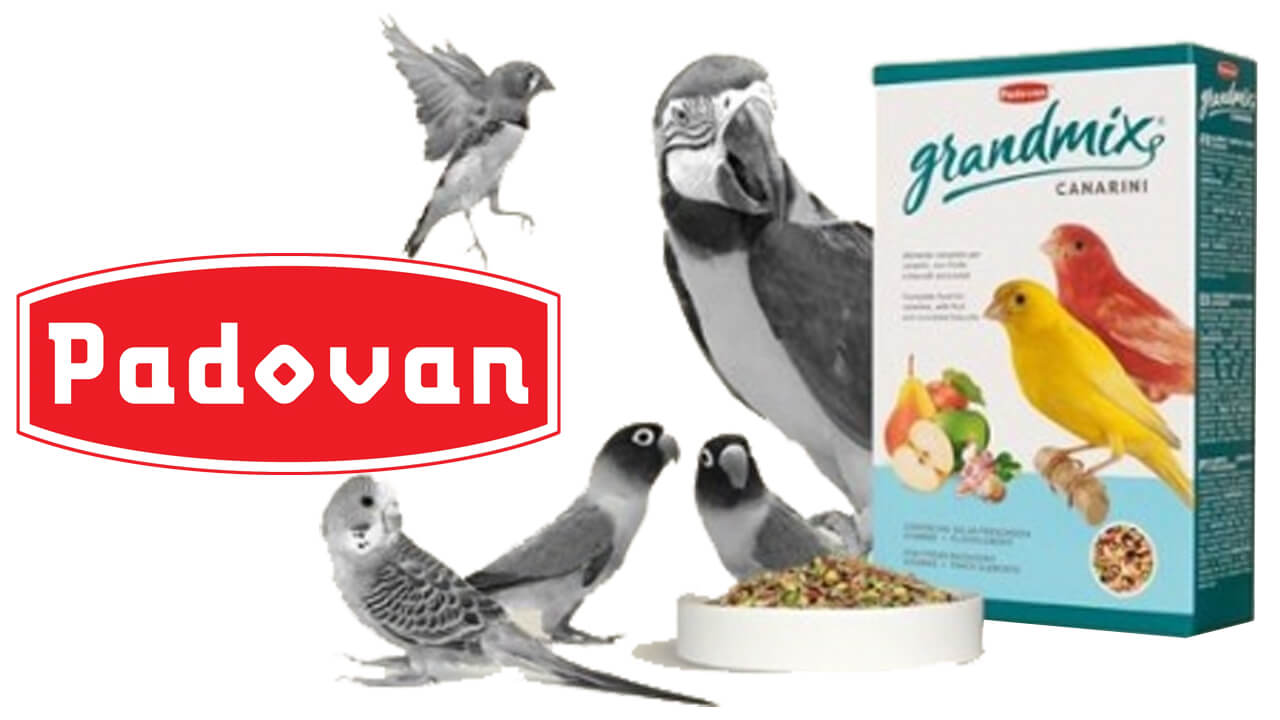 Padovan (Производство кормов для птиц)