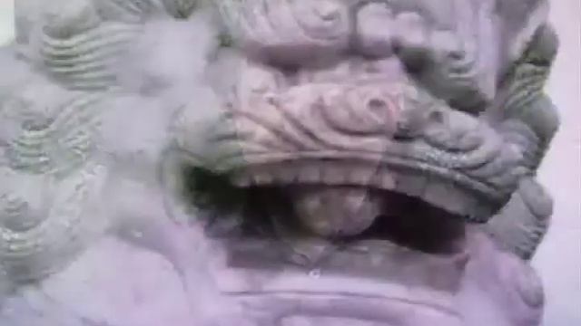 Стас М. Видео отзыв на тренинги Аллы Ревенко