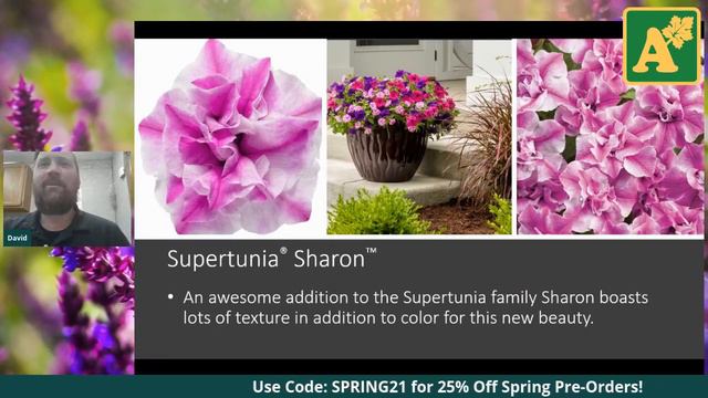 New Plant Introduction 2021