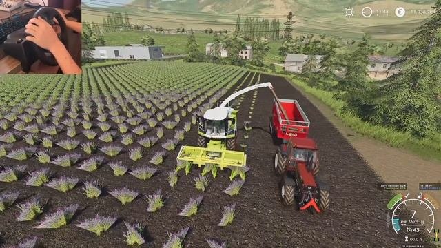 Lavender Harvest w Fiatagri 180-90 - Farming Simulator 19  Logitech g29 gameplay