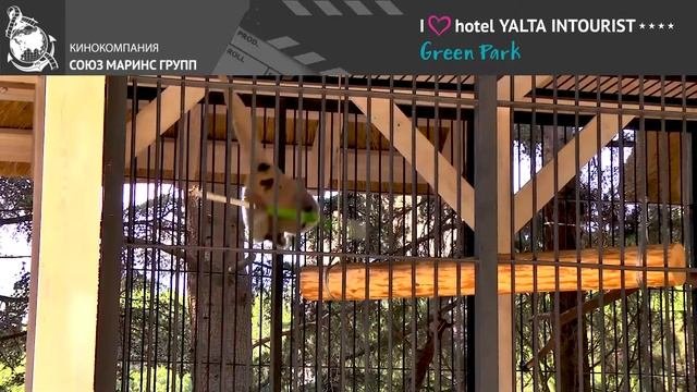 Что привлекает в Отеле Yalta Intourist именитых спортсменов?