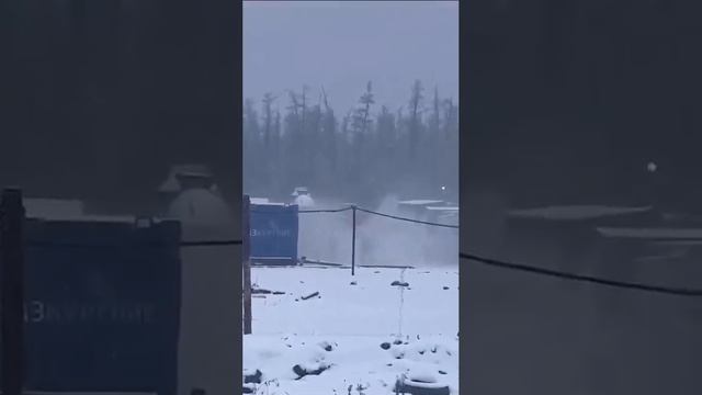 медведь рвёт вахтовика.
