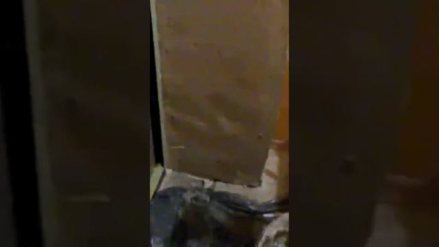 Как сделать откосы на двери?