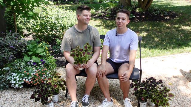 Everything Coleus | Gardener in Love