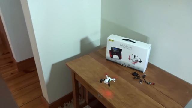 Tenergy TDR Robin : Unboxing Flights and Review